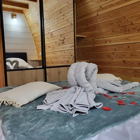 Orman Evi Pod Es Aqui *