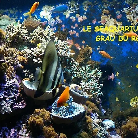 بيت خشبي Pod Es Aqui Et Sa Cabanette *